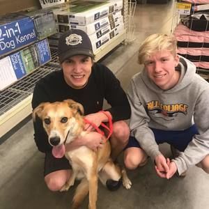 Meet your Posher, Robin